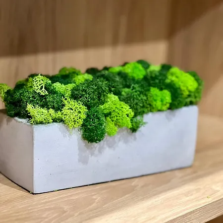 아파트 Osapart In A Complex Great Britain