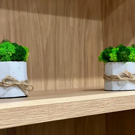 Osapart In A Complex Great Britain 아파트 리비프