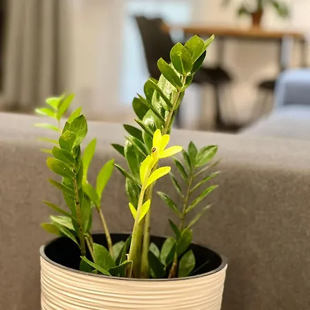 Osapart In A Complex Great Britain * 리비프