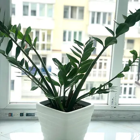 Osapart In A Complex Great Britain Lviv