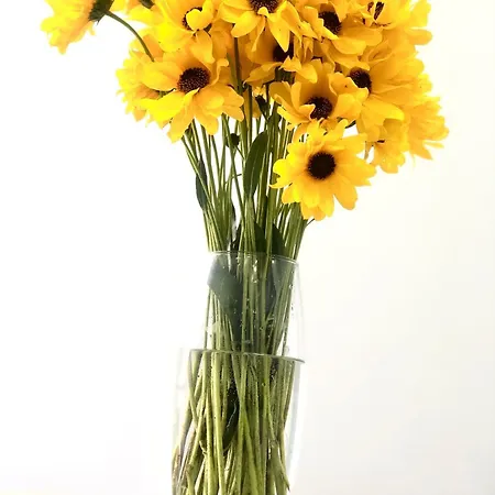 Lejlighed Osapart In A Complex Great Britain