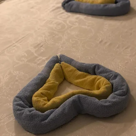 Osapart In A Complex Great Britain * Lviv