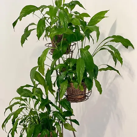 Osapart In A Complex Great Britain Apartment