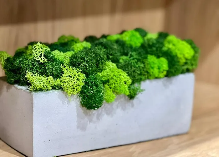 דירה Osapart In A Complex Great Britain