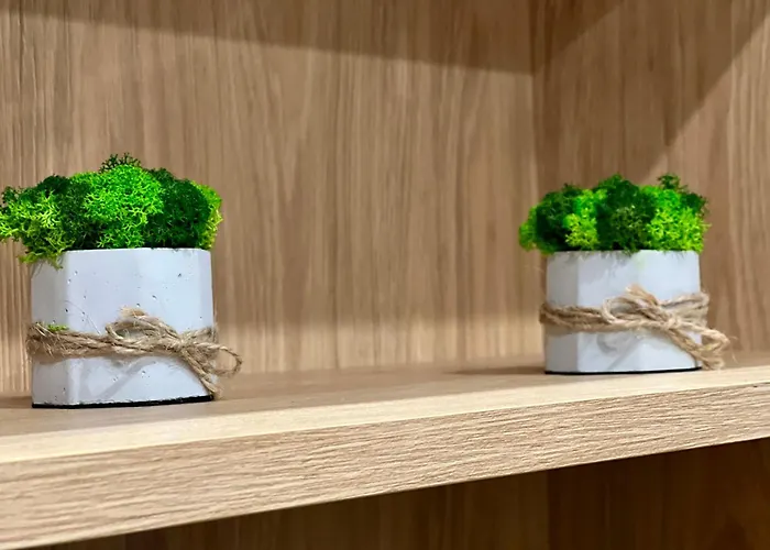 Osapart In A Complex Great Britain 아파트 리비프