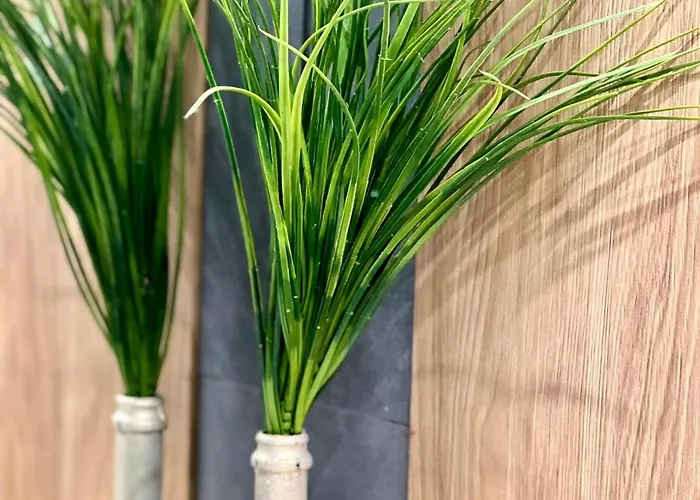 Osapart In A Complex Great Britain 아파트 리비프