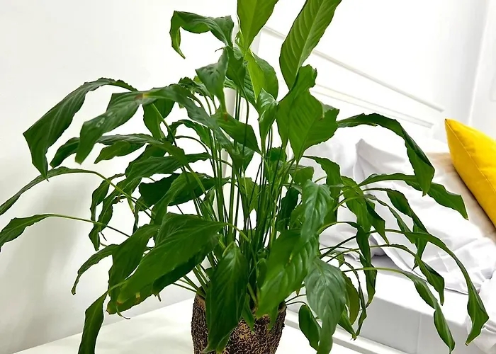 Osapart In A Complex Great Britain 아파트 *