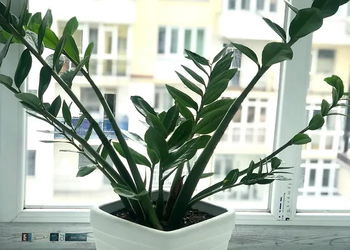 Osapart In A Complex Great Britain Leópolis