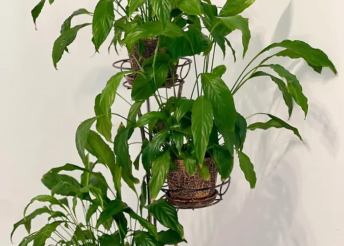 Osapart In A Complex Great Britain Apartman